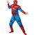 Front - Spider-Man - "Deluxe" Kostüm - Herren