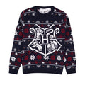 Front - Harry Potter - Pullover für Kinder