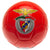 Front - SL Benfica - Fußball