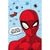Front - Spider-Man - Decke, Mikro Flanell, Stern