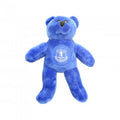 Front - Everton FC Teddy-Bär
