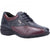 Front - Cotswold - Damen Oxford-Schuhe "Salford 2", Leder