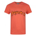 Front - Aquaman Herren Logo T-Shirt