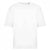 Front - Awdis - "100" T-Shirt für Herren/Damen Unisex