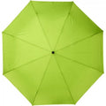 Limette - Back - Avenue - "Bo" Faltbarer Regenschirm