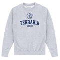 Front - Terraria - Sweatshirt für Herren/Damen Unisex