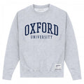 Front - University Of Oxford - Sweatshirt für Herren/Damen Unisex