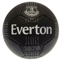 Front - Everton FC React Fußball