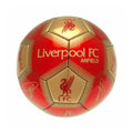 Front - Liverpool FC Unterschriften Skill Ball
