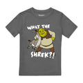 Front - Shrek - "Best Buds" T-Shirt für Jungen