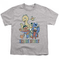 Grau - Front - Sesame Street - "Colourful Group" T-Shirt für Kinder