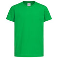Kellygrün - Front - Stedman Kinder Klassik-T-Shirt