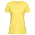 Gelb - Front - Stedman Damen T-Shirt