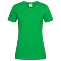 Kellygrün - Front - Stedman Damen T-Shirt
