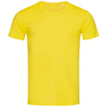 Gänseblümchen-Gelb - Front - Stedman Herren Stars Ben Rundhalsausschnitt T-Shirt