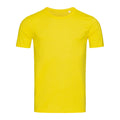 Gänseblümchen Gelb - Front - Stedman Stars Herren Morgan Rundhalsausschnitt T-shirt