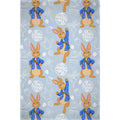 Grau - Front - Peter Rabbit - Decke "Hopping", Fleece