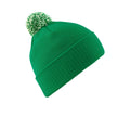 Irisches Grün-Weiß - Back - Beechfield - Mütze für Herren-Damen Unisex