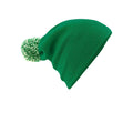 Irisches Grün-Weiß - Side - Beechfield - Mütze für Herren-Damen Unisex