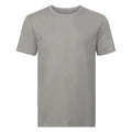 Steinfarben - Front - Russell Herren Organik T-Shirt Kurzarm