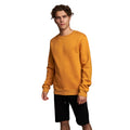 Gelb - Front - Juice - "Cranwood" Sweatshirt für Herren