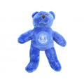 Blau - Front - Everton FC Teddy-Bär