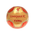 Rot-Gold - Front - Liverpool FC - Fußball mit Unterschriften