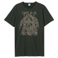 Holzkohle - Front - Amplified - "Dragon Temple" T-Shirt für Herren-Damen Unisex