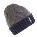 Grau-Blau - Front - Herren Heatguard Thinsulate Winter Beanie-Mütze