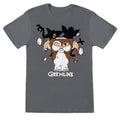 Anthrazit - Front - Gremlins - T-Shirt für Herren