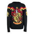Schwarz-Rot-Gelb - Front - Harry Potter - Pullover für Herren-Damen Unisex - weihnachtliches Design