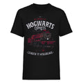 Schwarz - Front - Harry Potter - "All Aboard" T-Shirt für Herren-Damen Unisex