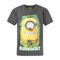 Anthrazit - Front - Minions offizielles Kinder Blumock T-Shirt