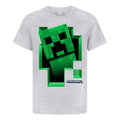 Grau - Front - Minecraft - "Inside" T-Shirt für Jungen