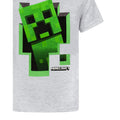 Grau - Lifestyle - Minecraft - "Inside" T-Shirt für Jungen