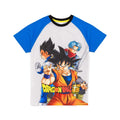 Grau-Blau - Back - Dragon Ball Z - Schlafanzug für Jungen