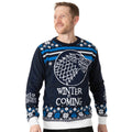 Blau-Weiß - Front - Game of Thrones - Pullover für Herren-Damen Unisex - weihnachtliches Design