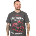 Grau-Schwarz - Side - Harry Potter - "Hogwarts Express" Schlafanzug mit langer Hose für Herren