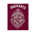 Rot-Grau - Pack Shot - Harry Potter - Schlafanzug mit Shorts für Mädchen