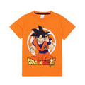 Orange - Side - Dragon Ball Z - Schlafanzug mit Shorts für Jungen