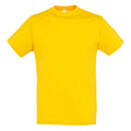 Goldgelb - Front - SOLS Regent Herren T-Shirt, Kurzarm