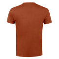 Terrakotta - Back - SOLS Imperial Herren T-Shirt, Kurzarm