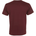 Stierblut - Back - SOLS Herren Victory T-Shirt, V-Ausschnitt, Kurzarm