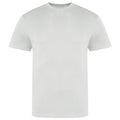 Mondstaub-Grau - Front - Awdis - "The 100" T-Shirt für Herren