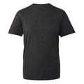 Schwarz - Back - Anthem - T-Shirt, aus biologischem Anbau für Herren