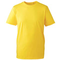 Gelb - Front - Anthem - T-Shirt, aus biologischem Anbau für Herren
