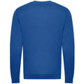 Königsblau - Back - Awdis - Sweatshirt, aus biologischem Anbau für Herren