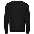 Schwarz - Back - Awdis - Sweatshirt, aus biologischem Anbau für Herren