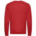 Feuerrot - Back - Awdis - Sweatshirt, aus biologischem Anbau für Herren