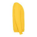 Sonenblumen-Gelb - Lifestyle - Fruit of the Loom - Sweatshirt für Kinder Raglanärmel
